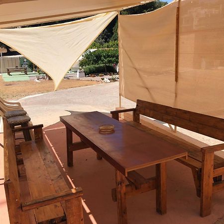 Converted Shed Studio & Garden Hanging Bed Πόρτο Ράφτη Εξωτερικό φωτογραφία